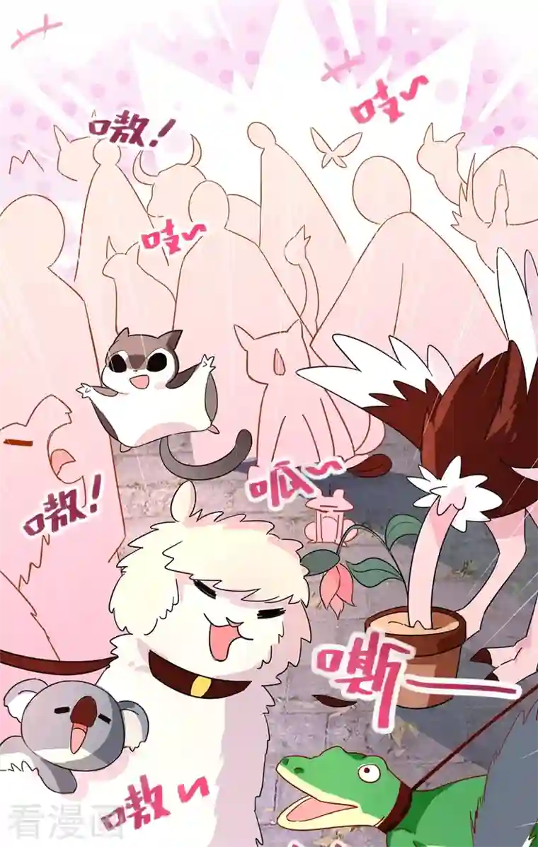 天降萌宝小熊猫：萌妃来袭第47话 不想让她离开