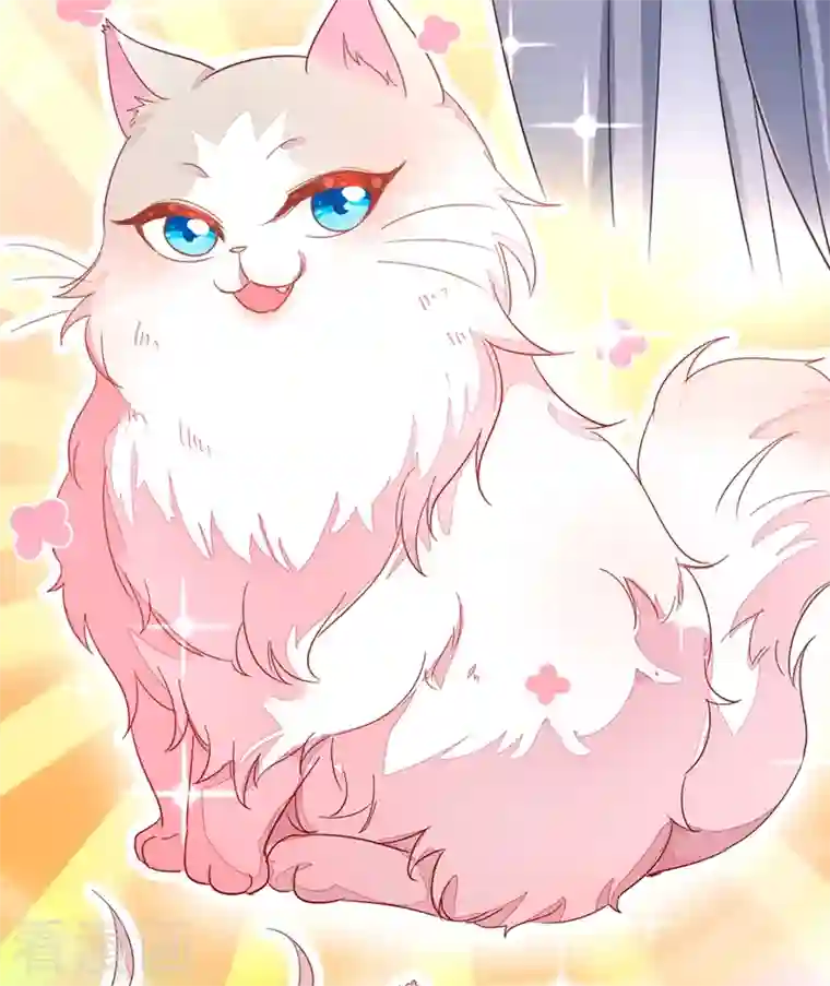 天降萌宝小熊猫：萌妃来袭第47话 不想让她离开