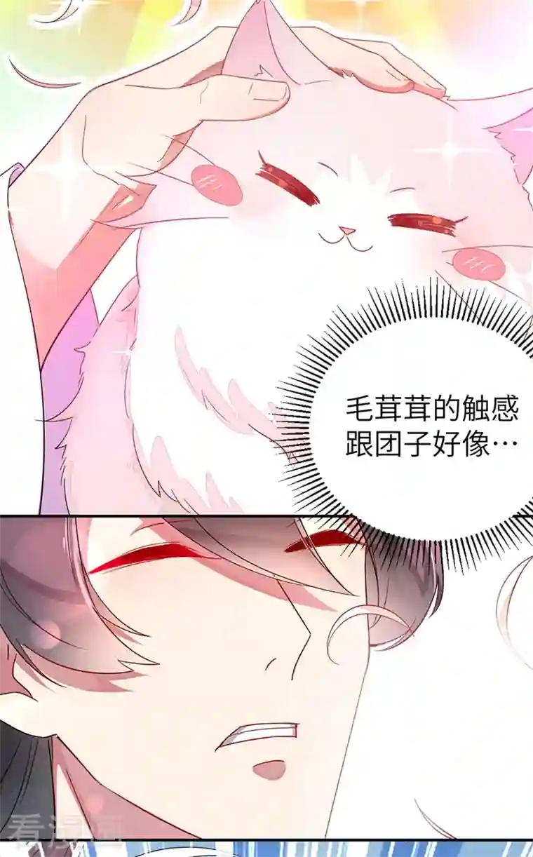 天降萌宝小熊猫：萌妃来袭第47话 不想让她离开