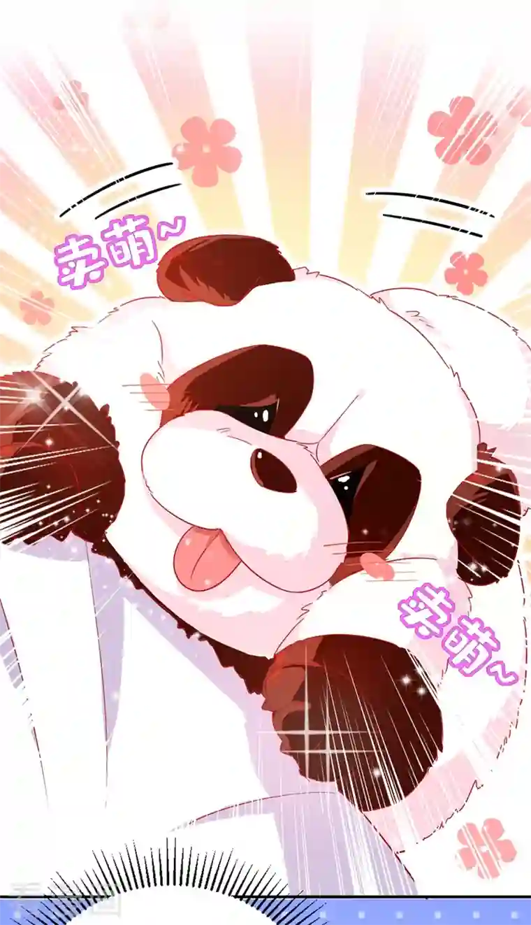 天降萌宝小熊猫：萌妃来袭第48话 还是不是男人啊？