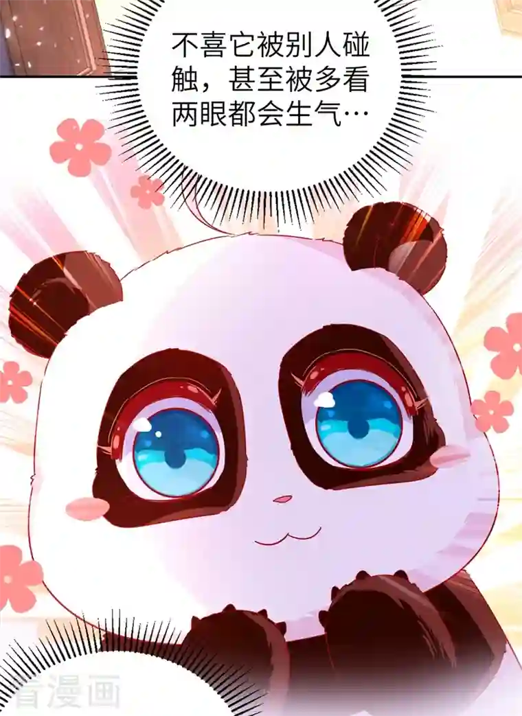 天降萌宝小熊猫：萌妃来袭第48话 还是不是男人啊？