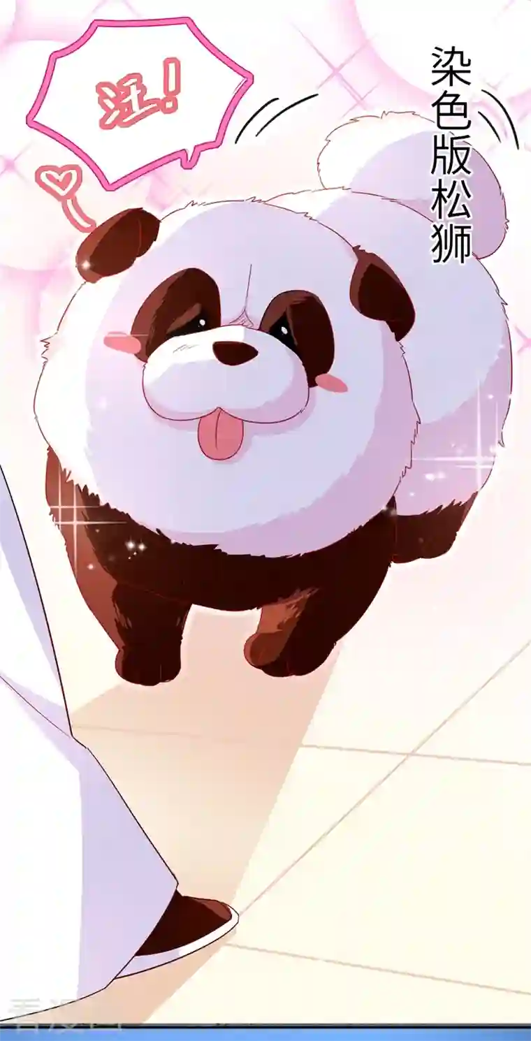 天降萌宝小熊猫：萌妃来袭第48话 还是不是男人啊？