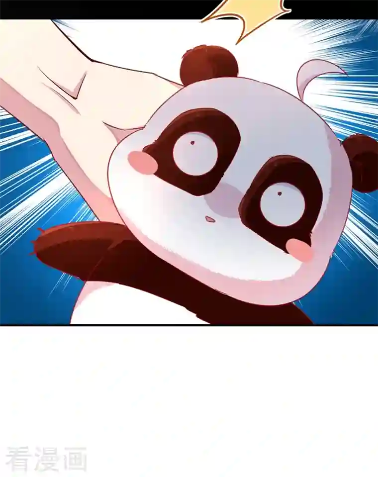 天降萌宝小熊猫：萌妃来袭第59话 交给我，让我来