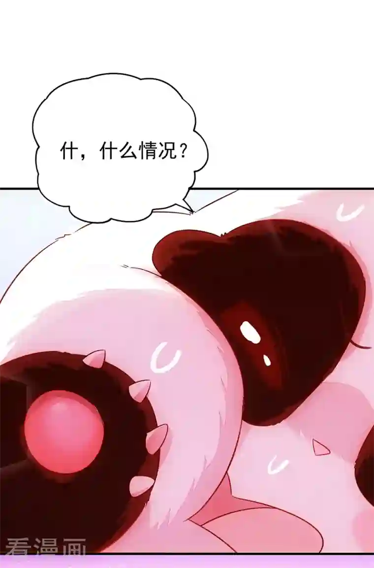 天降萌宝小熊猫：萌妃来袭第59话 交给我，让我来