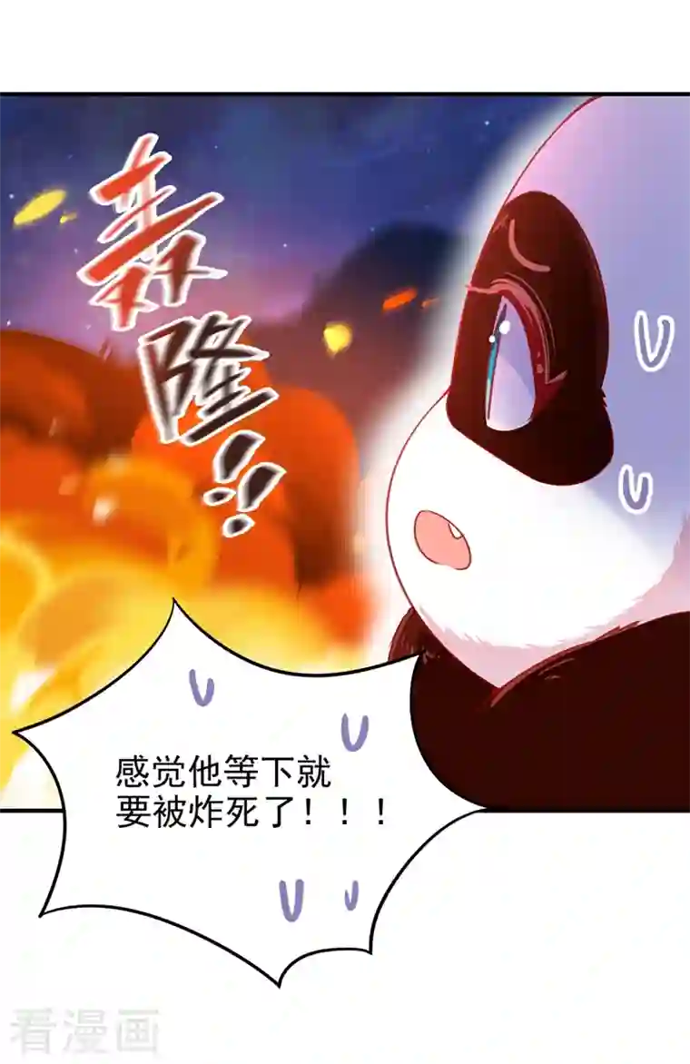 天降萌宝小熊猫：萌妃来袭第59话 交给我，让我来
