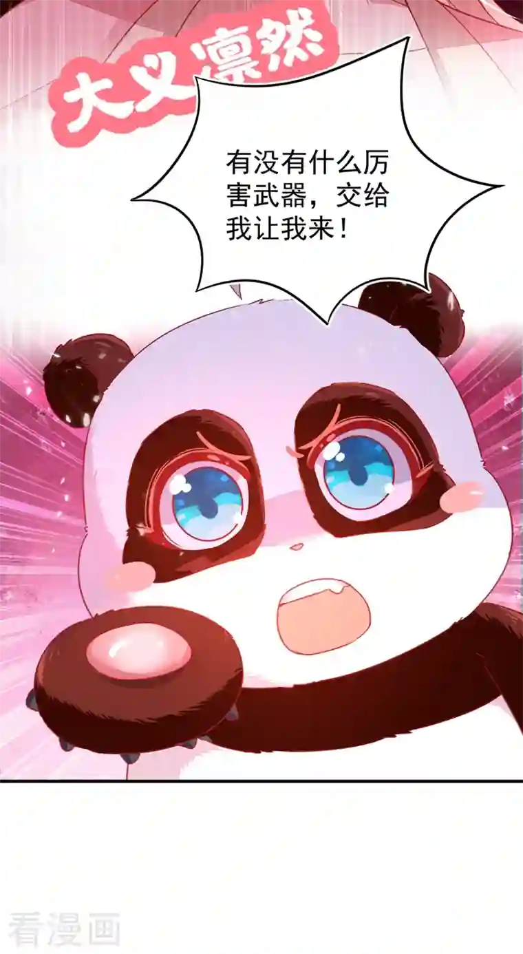 天降萌宝小熊猫：萌妃来袭第59话 交给我，让我来