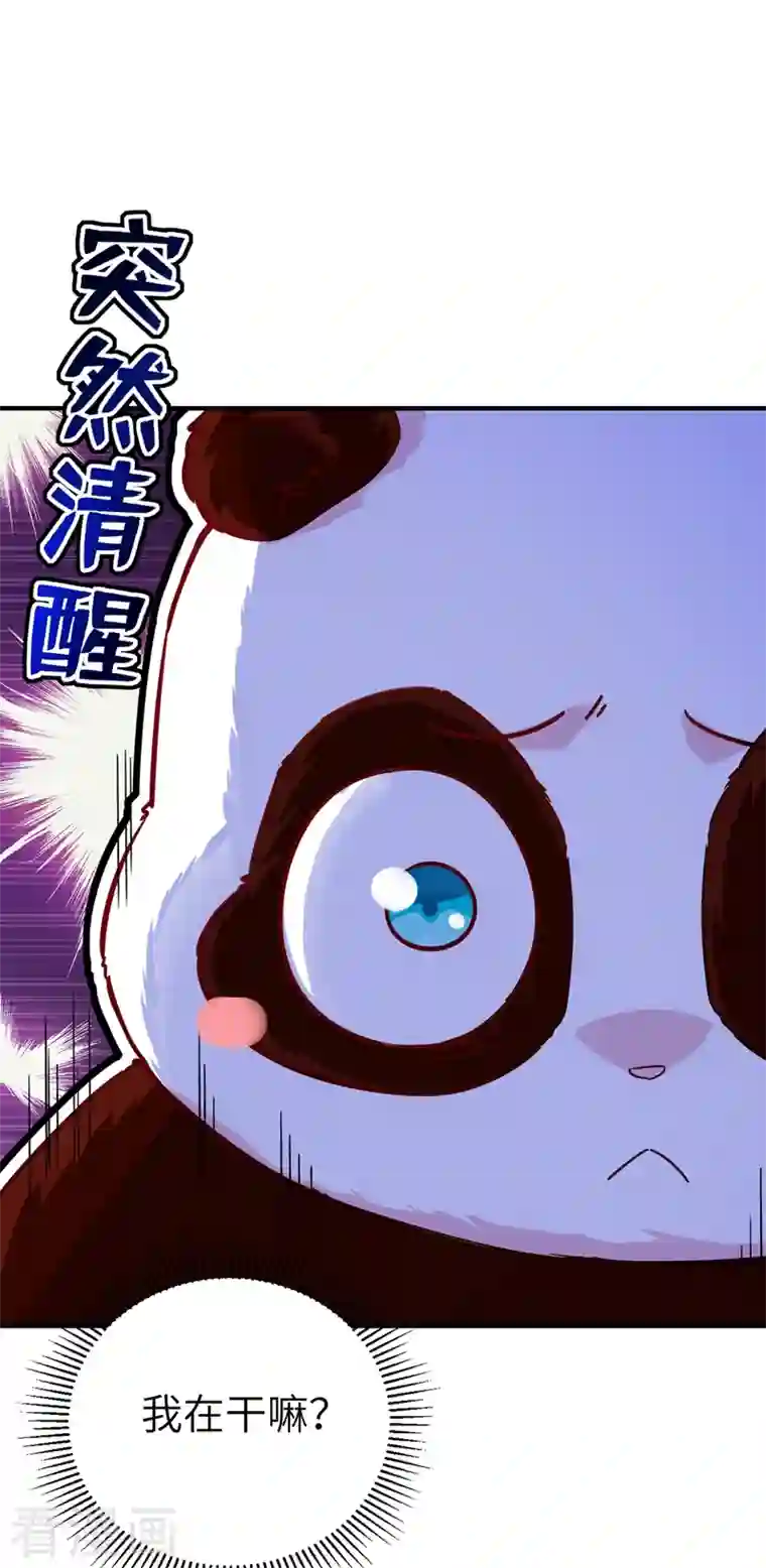 天降萌宝小熊猫：萌妃来袭第62话 天上掉下个小正太