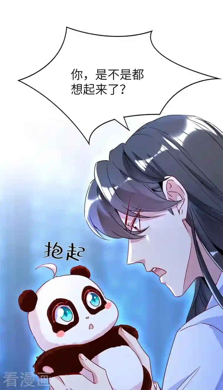 天降萌宝小熊猫：萌妃来袭第62话 天上掉下个小正太