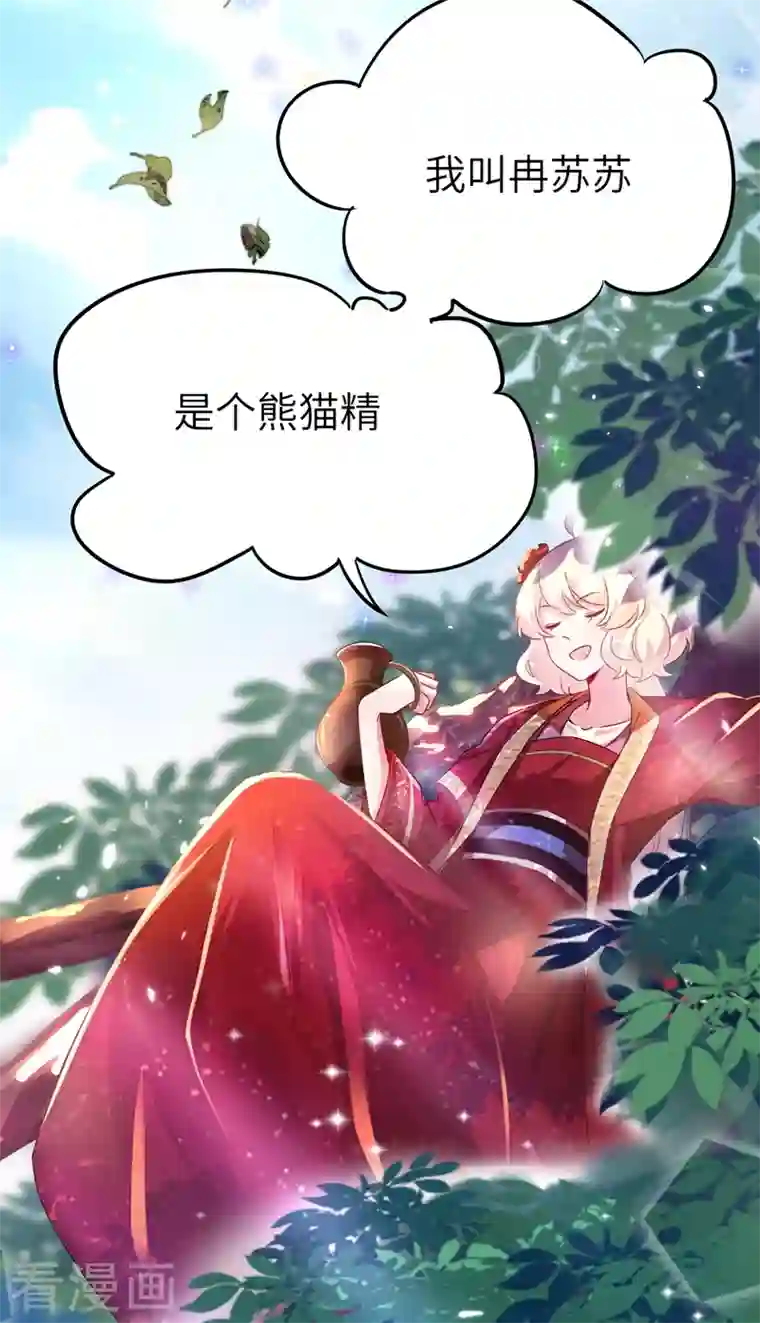 天降萌宝小熊猫：萌妃来袭第62话 天上掉下个小正太