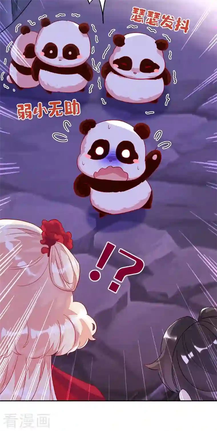 天降萌宝小熊猫：萌妃来袭第63话 照顾我的小夫君~