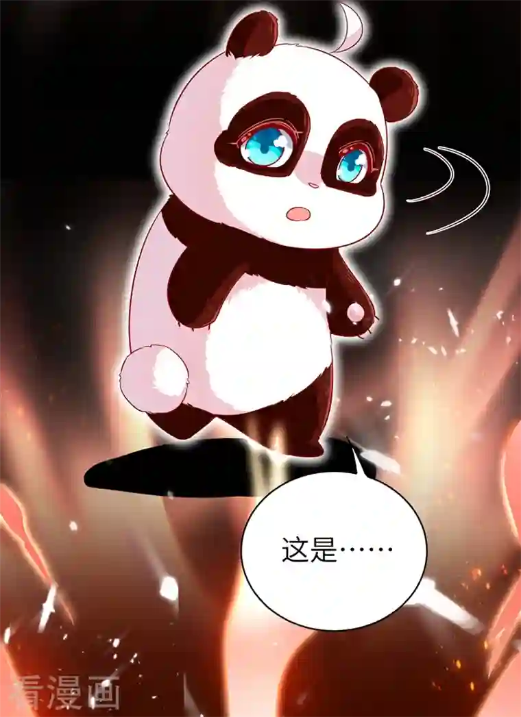 天降萌宝小熊猫：萌妃来袭第65话 她就是我的三界苍生