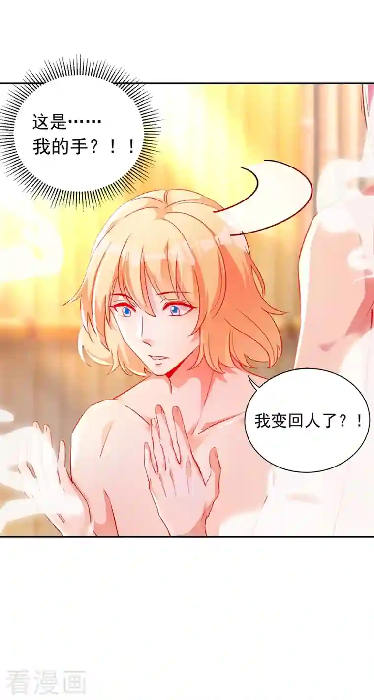 天降萌宝小熊猫：萌妃来袭番外 浴室那点事儿（孔雀篇）