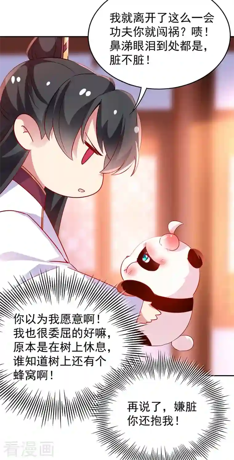天降萌宝小熊猫：萌妃来袭番外1 被蜜蜂蛰了的那点事儿
