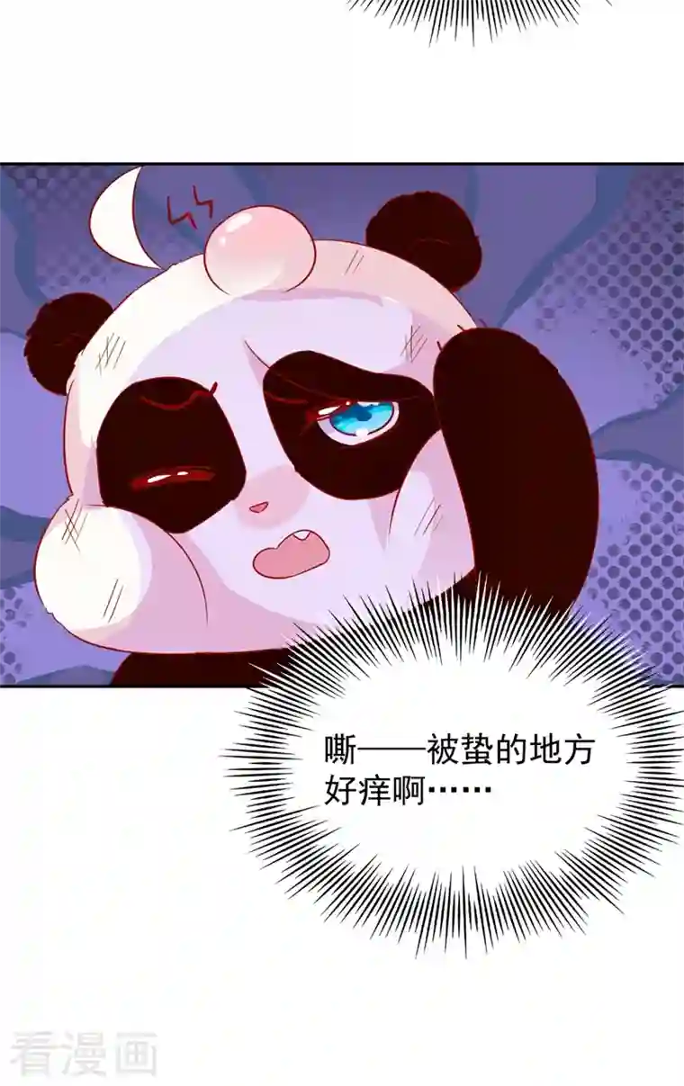 天降萌宝小熊猫：萌妃来袭番外1 被蜜蜂蛰了的那点事儿