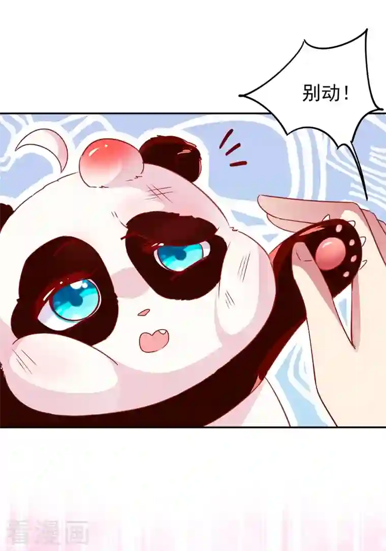 天降萌宝小熊猫：萌妃来袭番外1 被蜜蜂蛰了的那点事儿