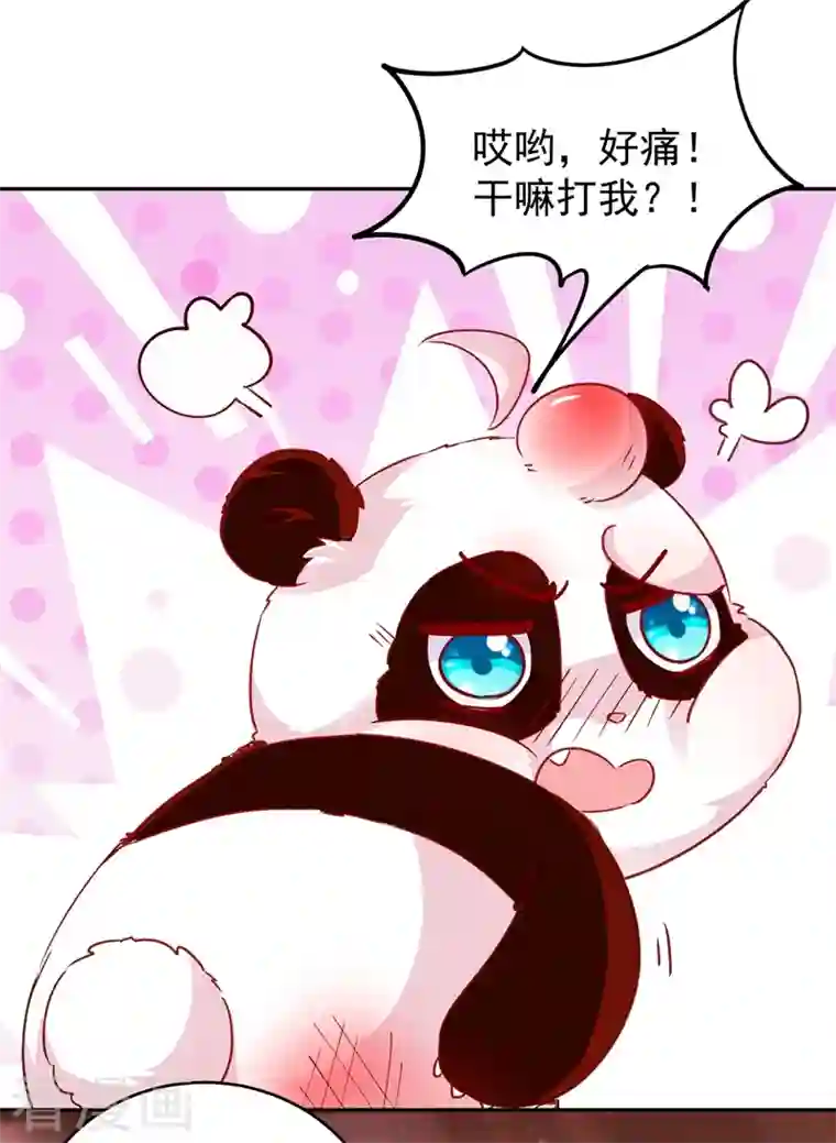 天降萌宝小熊猫：萌妃来袭番外1 被蜜蜂蛰了的那点事儿