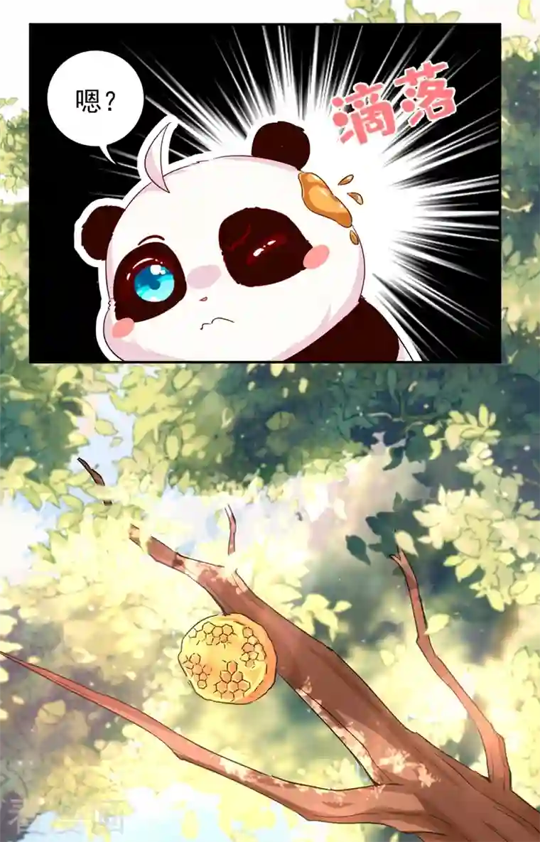天降萌宝小熊猫：萌妃来袭番外1 被蜜蜂蛰了的那点事儿