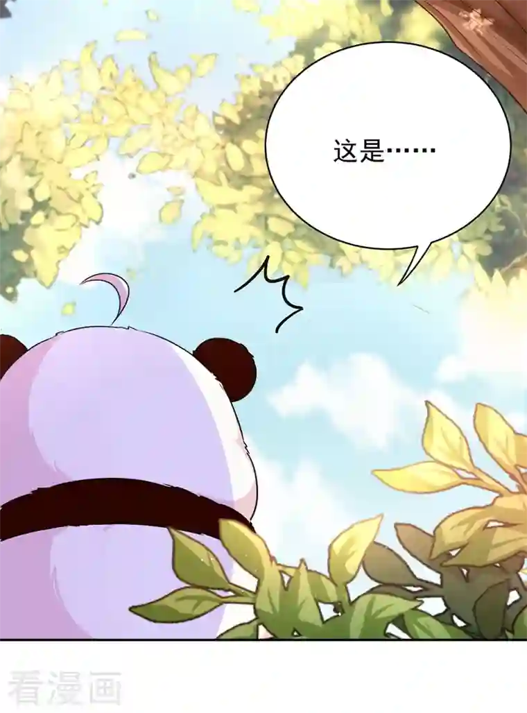 天降萌宝小熊猫：萌妃来袭番外1 被蜜蜂蛰了的那点事儿