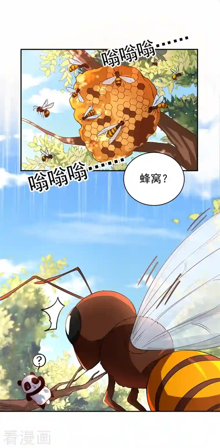 天降萌宝小熊猫：萌妃来袭番外1 被蜜蜂蛰了的那点事儿