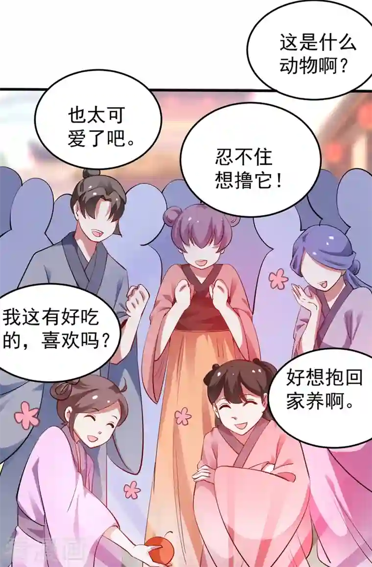 天降萌宝小熊猫：萌妃来袭番外3 秃头那点事儿