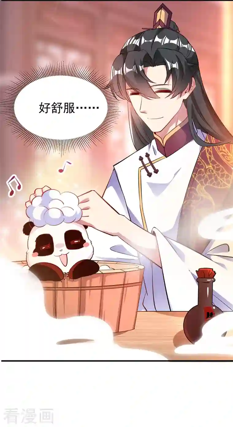 天降萌宝小熊猫：萌妃来袭番外3 秃头那点事儿