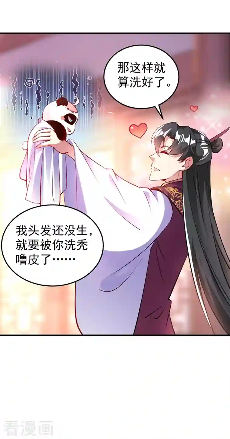 天降萌宝小熊猫：萌妃来袭番外3 秃头那点事儿