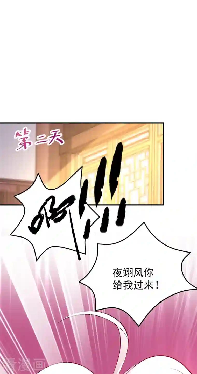 天降萌宝小熊猫：萌妃来袭番外3 秃头那点事儿