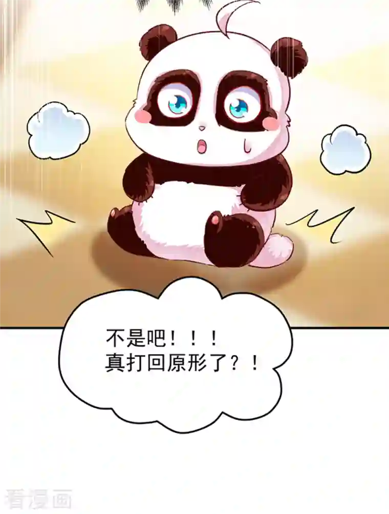 天降萌宝小熊猫：萌妃来袭现代篇2 就是那个熊孩子！