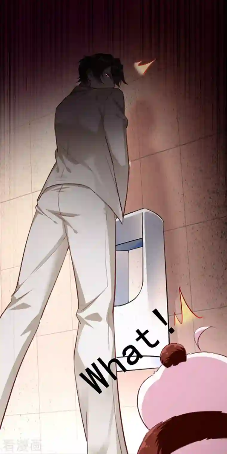 天降萌宝小熊猫：萌妃来袭现代篇3 是你逼我的！