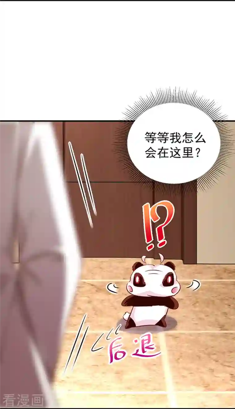 天降萌宝小熊猫：萌妃来袭现代篇3 是你逼我的！