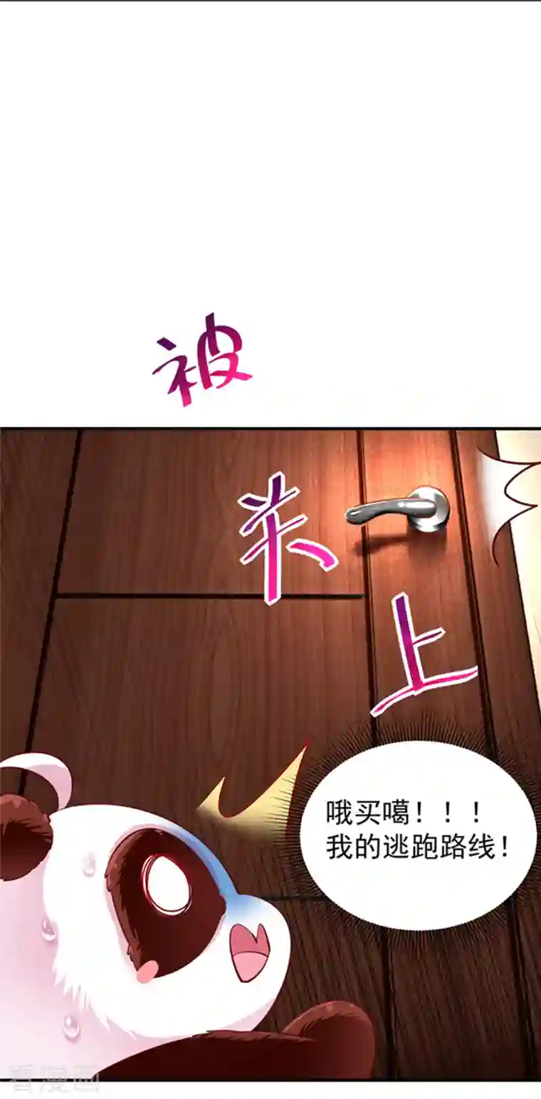 天降萌宝小熊猫：萌妃来袭现代篇3 是你逼我的！