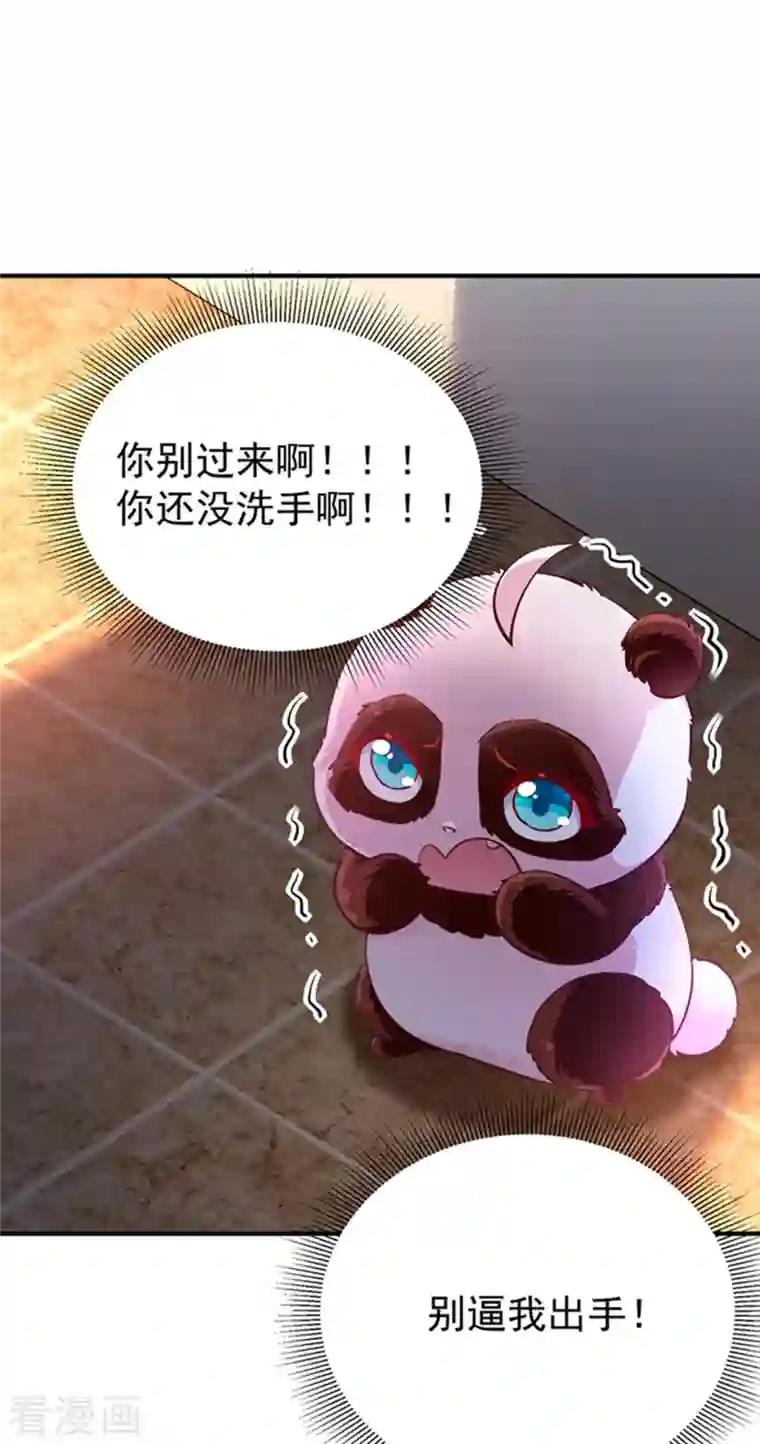 天降萌宝小熊猫：萌妃来袭现代篇3 是你逼我的！