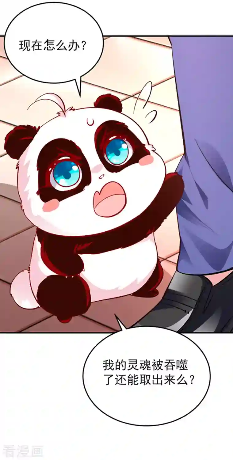 天降萌宝小熊猫：萌妃来袭现代篇3 是你逼我的！