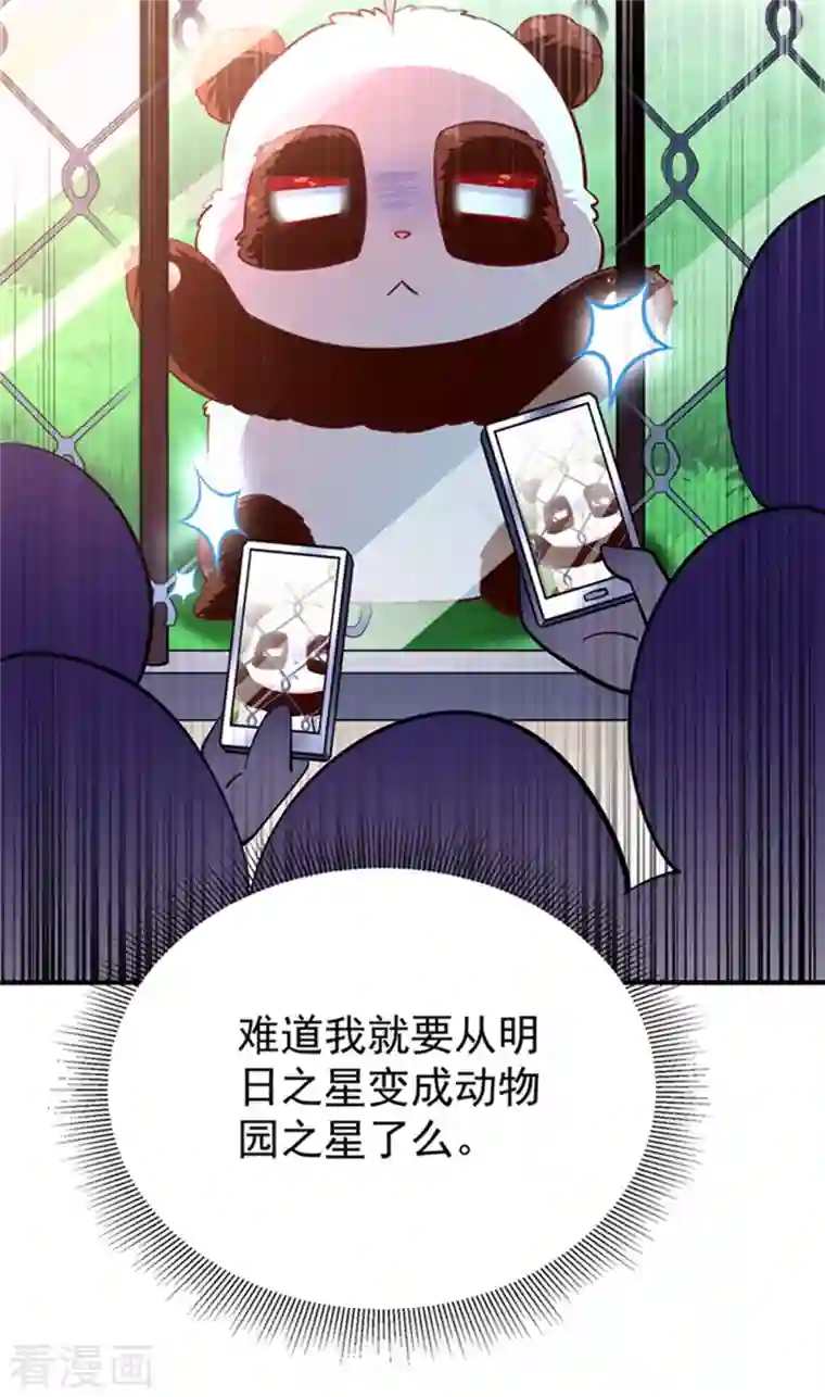 天降萌宝小熊猫：萌妃来袭现代篇3 是你逼我的！