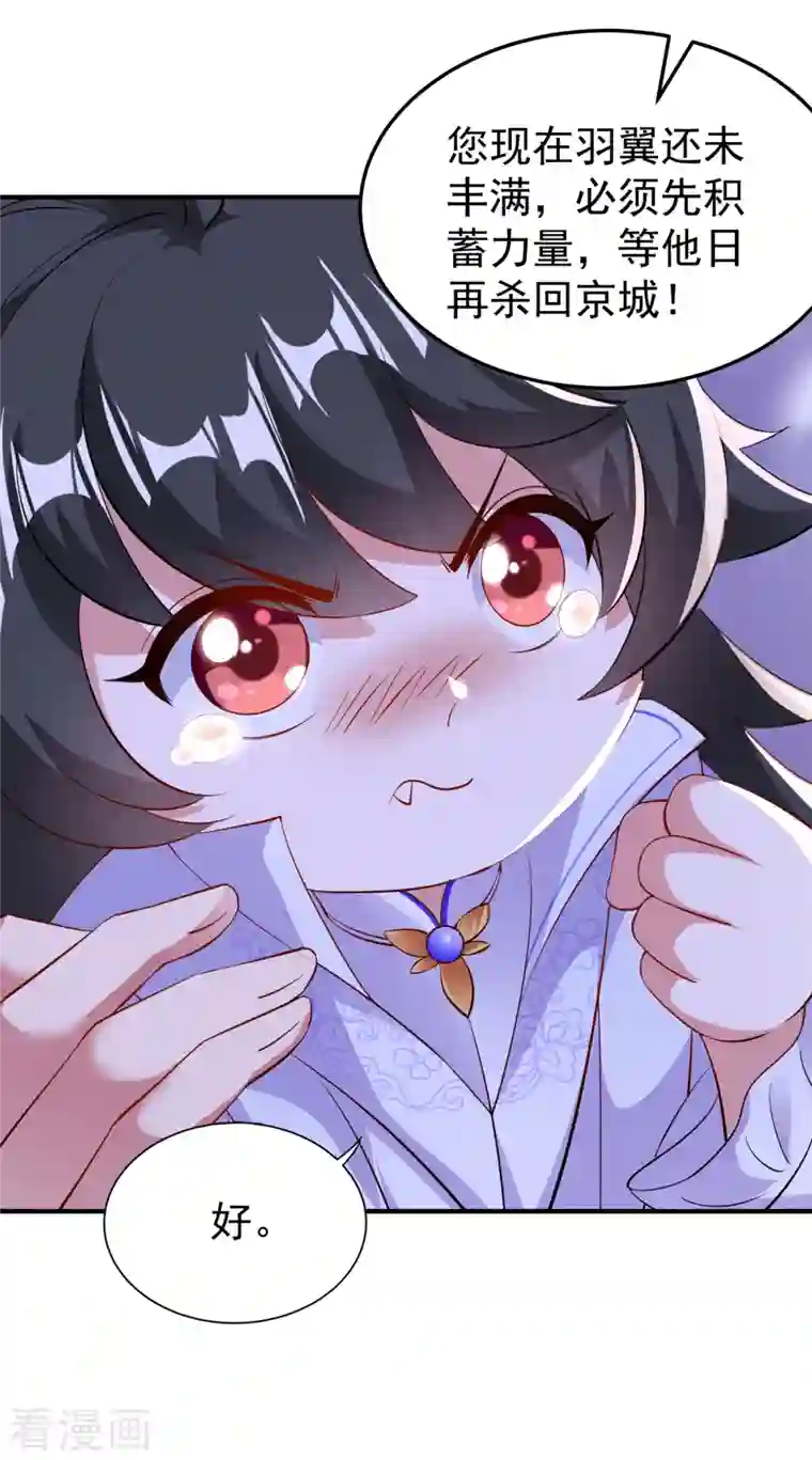 天降萌宝小熊猫：萌妃来袭现代篇11 夜影帝的私人辅导~