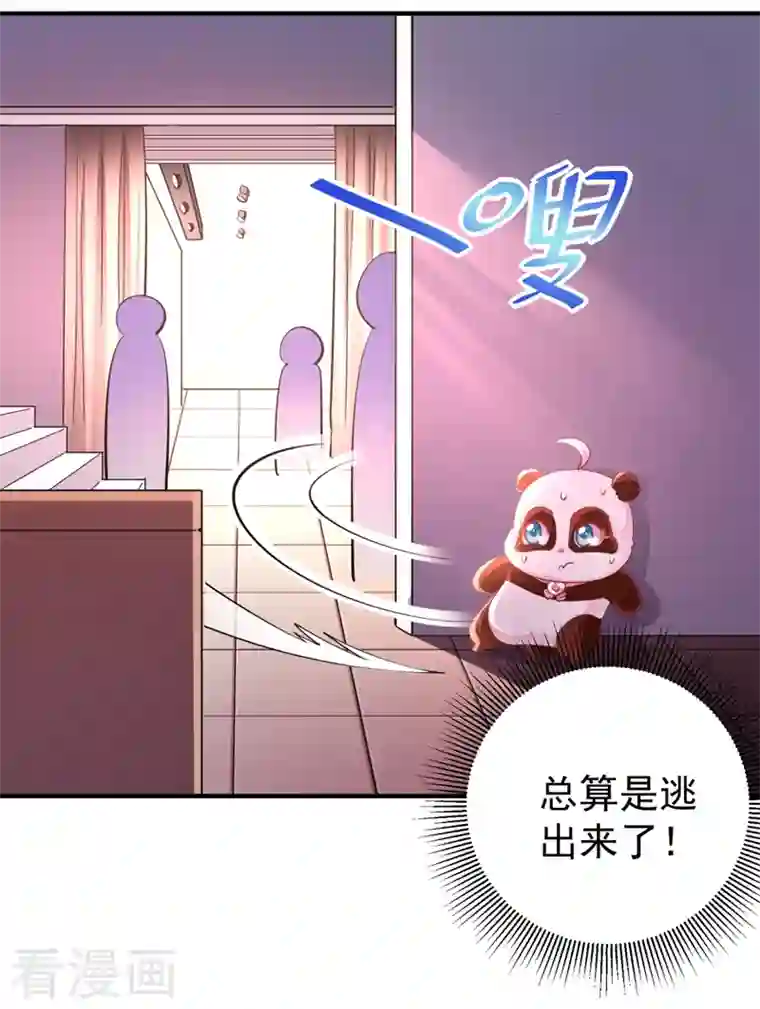 天降萌宝小熊猫：萌妃来袭现代篇27 来人啊，熊猫说话啦！