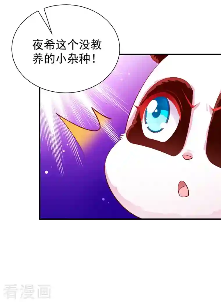 天降萌宝小熊猫：萌妃来袭现代篇27 来人啊，熊猫说话啦！