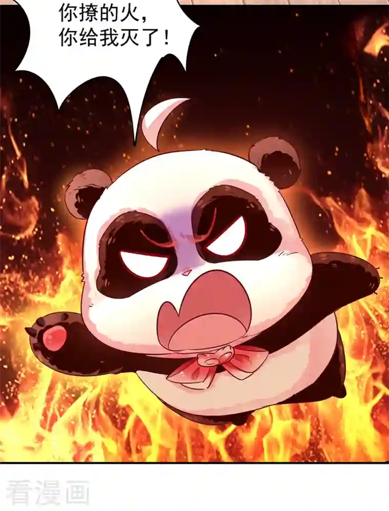 天降萌宝小熊猫：萌妃来袭现代篇43 守护精灵再度登场！