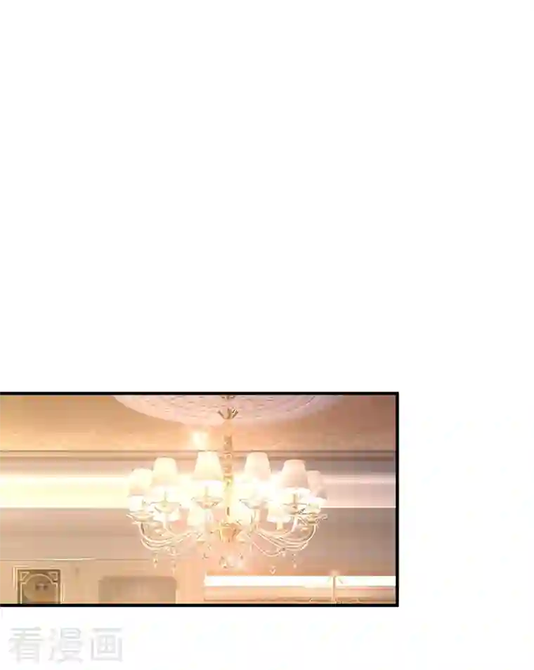 天降萌宝小熊猫：萌妃来袭现代篇54 你究竟是何身份