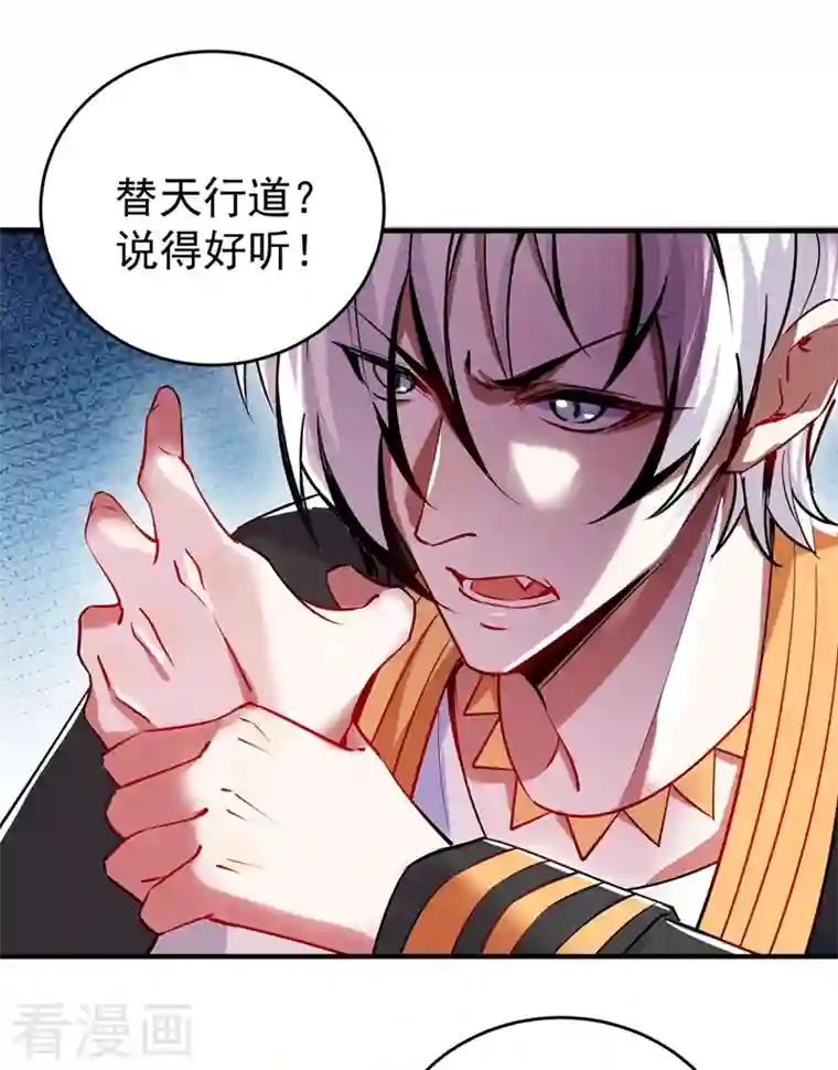 天降萌宝小熊猫：萌妃来袭现代篇54 你究竟是何身份