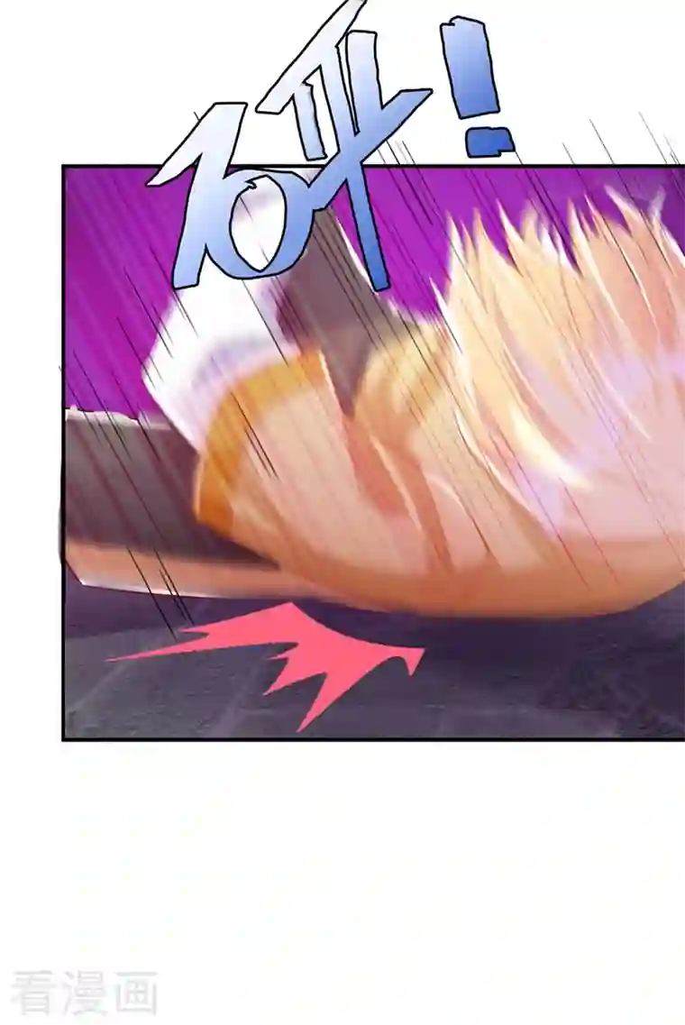 天降萌宝小熊猫：萌妃来袭现代篇65 表演熊猫抢夫