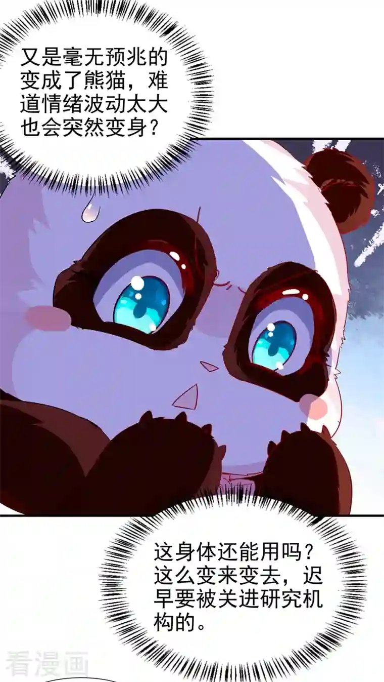 天降萌宝小熊猫：萌妃来袭现代篇67 魅力爆棚的夜翊风