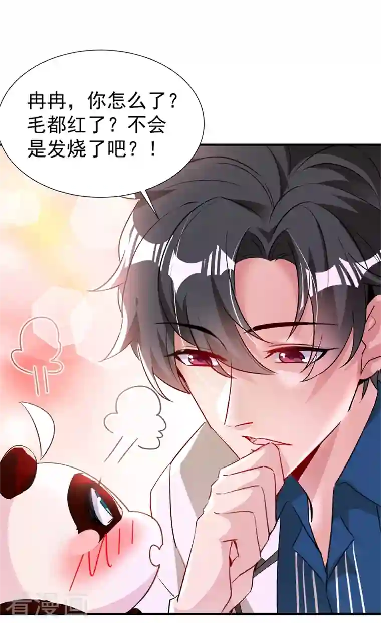 天降萌宝小熊猫：萌妃来袭现代篇68 变回来的办法