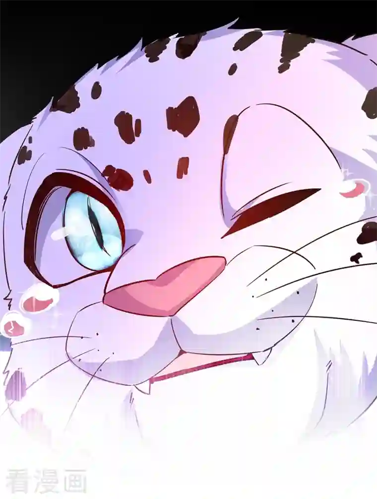 天降萌宝小熊猫：萌妃来袭现代篇73 这根本不是事实！