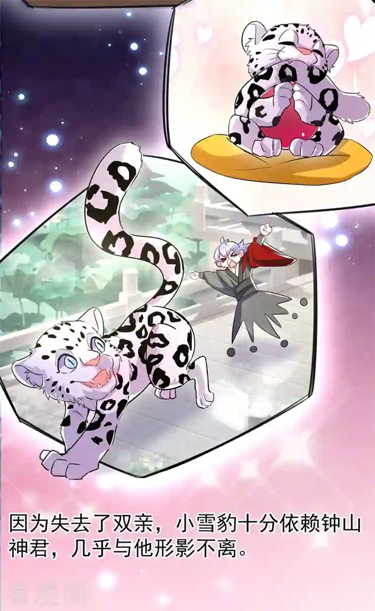 天降萌宝小熊猫：萌妃来袭现代篇73 这根本不是事实！