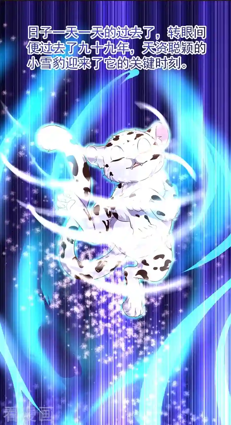 天降萌宝小熊猫：萌妃来袭现代篇73 这根本不是事实！