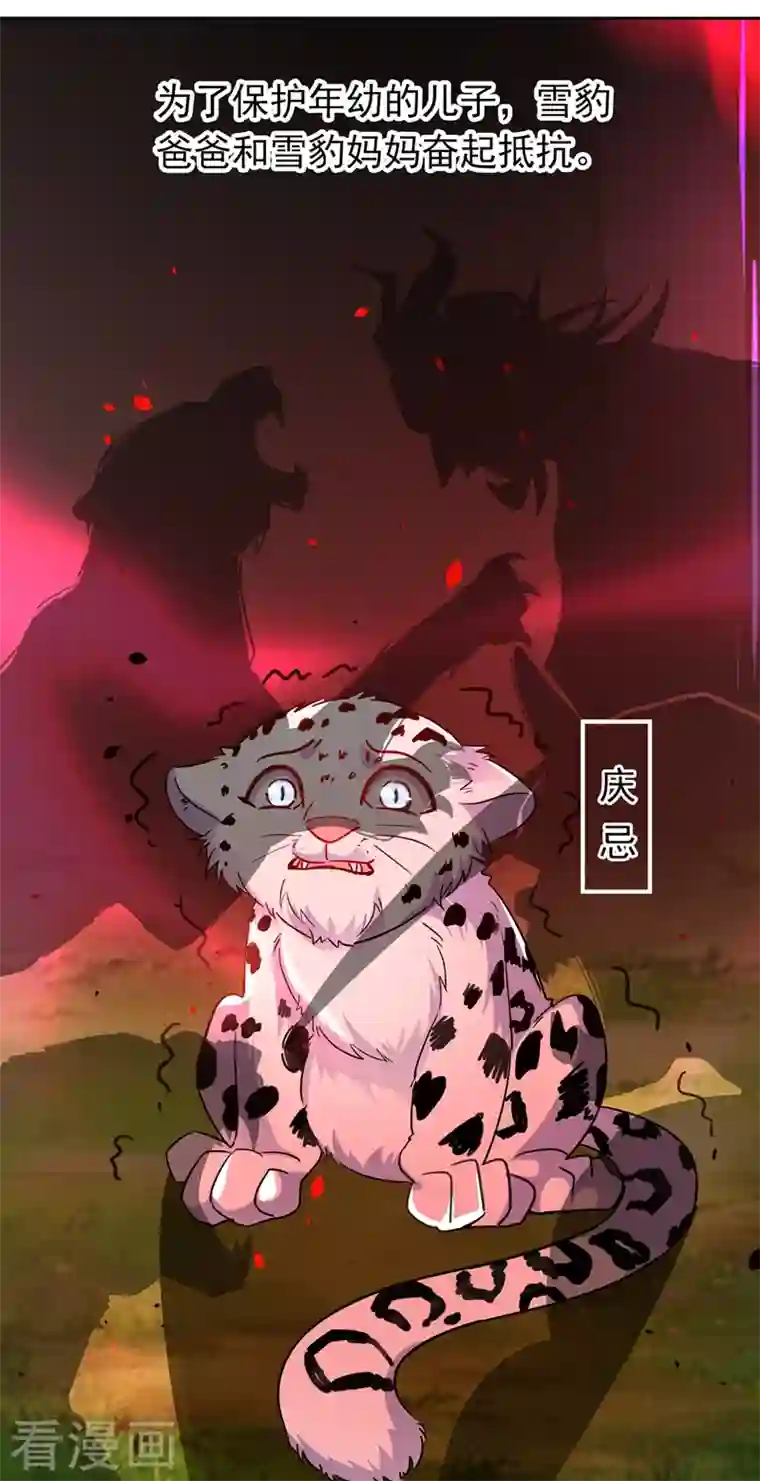 天降萌宝小熊猫：萌妃来袭现代篇73 这根本不是事实！