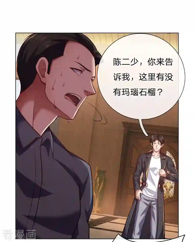 镇国主宰第8话 什么人如此大胆