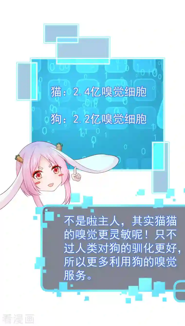 我真的不想做学霸第10话 美女，我死机了