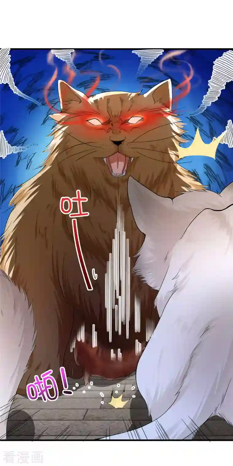 我真的不想做学霸第10话 美女，我死机了